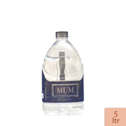 মাম খাবার পানি ৫ লিটার এর ছবি