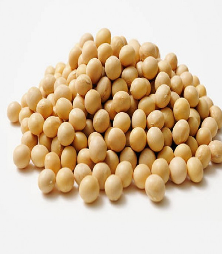 মোটর বুট ১ কেজি এর ছবি